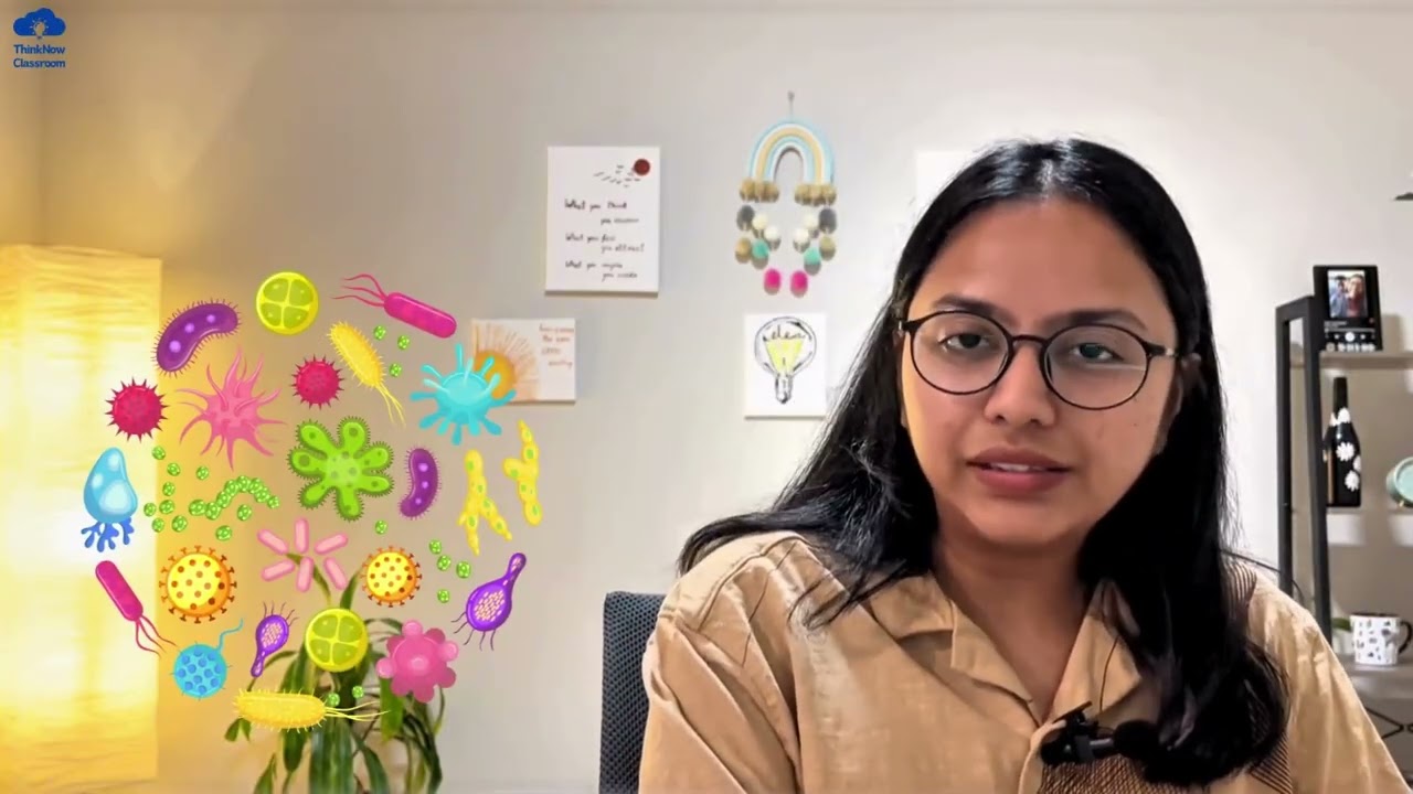 Conclusion - Making Sense of the World