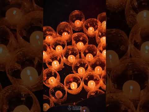 Dia de la Virgen de Lourdes Video de la alcaldía