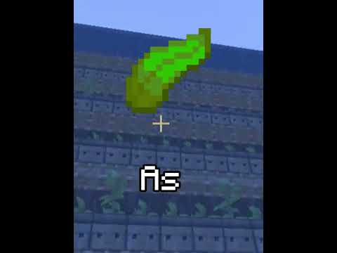 how to get rich on donut smp