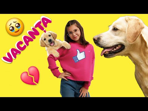 Ciao Patricia - VACANȚA MEA🐕  Muzică pentru copii / Kids Song