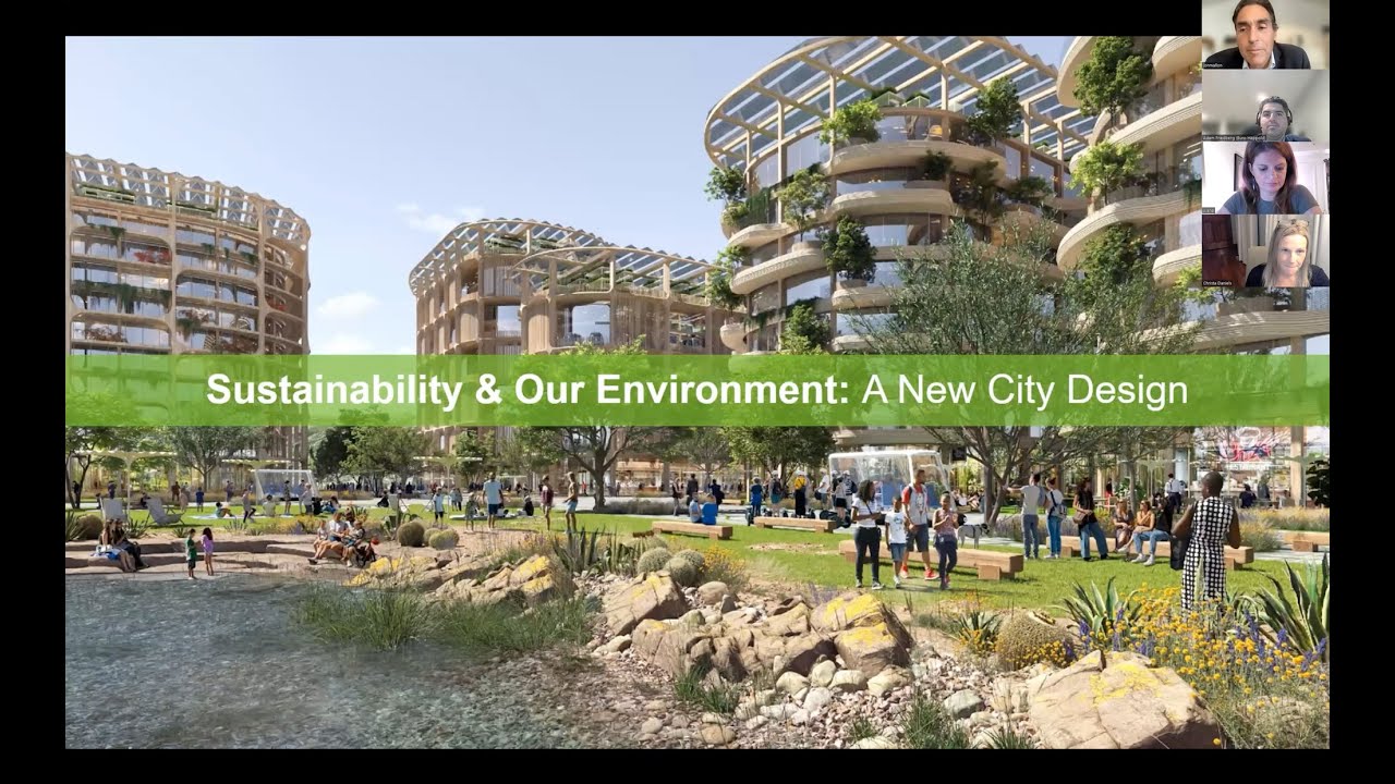 Sustainability & Our Environment: A New City Design