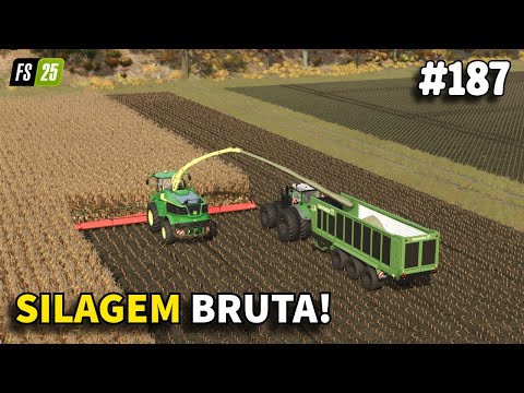 #187 Começar do ZERO! Plataforma de 15 Metros! Colheita Ultra Rápida Compactação nem Tanto | FS25
