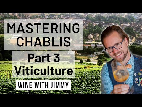 WSET Level 4 Diploma Chablis Vineyard Management and Viticulture