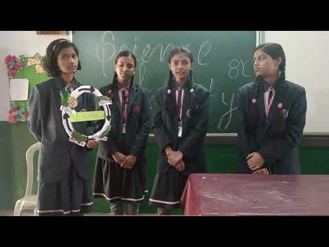 class 8 C Science Project...