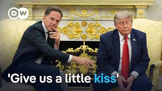 Trump-Rutte 'bromance' hits a snag | DW News