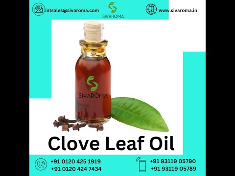 Clove Leaf Oil