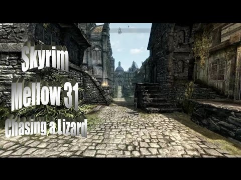 Checkers' Mellow Skyrim Let's Play Part 31 - Chasing a Lizard!