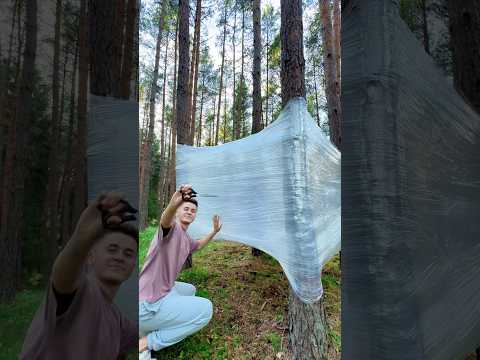 We Built a Treehouse Using Only Plastic Wrap! 😱🏡🌲💚🌳  #diy #lifehack