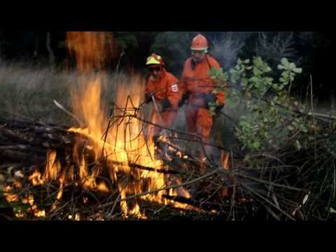 GAIB - Esercitazione Antincendi Boschivi - Protezione Civile Antincendi Boschivi Volontariato