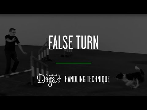 False Turn Agility Handling Technique