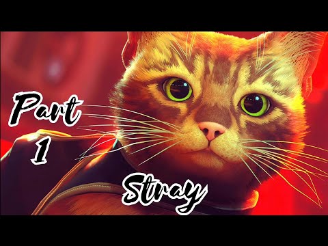 Stray PS5 walkthrough Gameplay Part 1