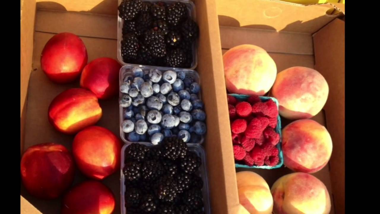 AgriBerry Farm Richmond CSA Highlights for 2014