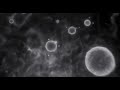 Opening Logos American Ice Age 2 Little Einsteins Angry Birds Wall E Monsters Inc