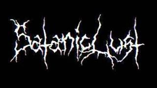 Satanic Lust - Heaven is Falling  (Bewitched)