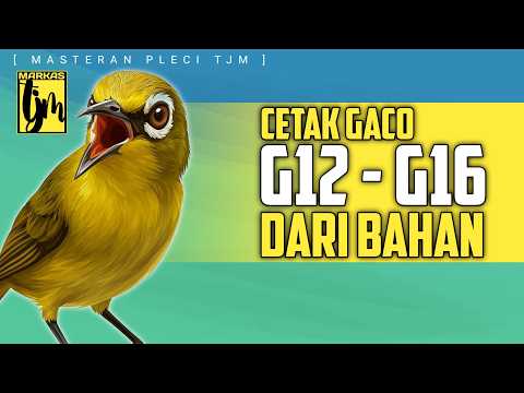 🔴 LIVE Masteran Pleci Tajam Untuk Cetak Gaco G12 dari bahan !!!