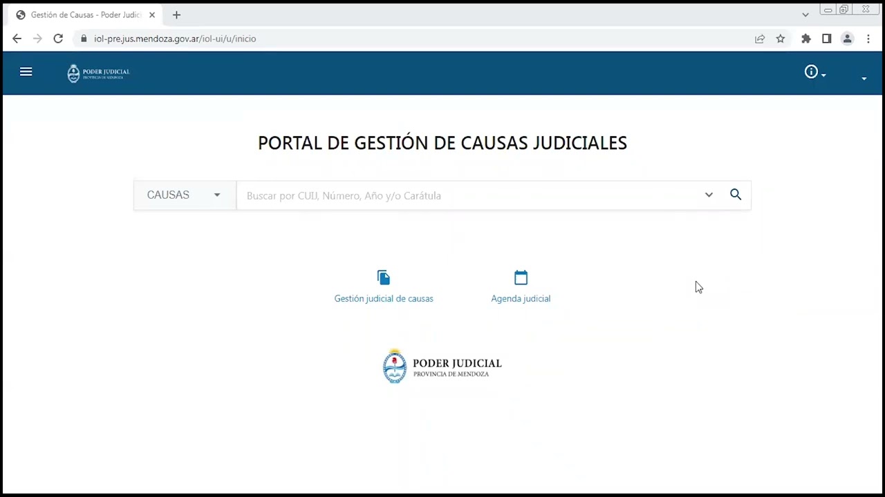 IURIX. PORTAL DE GESTIÓN DE CAUSAS JUDICIALES FILTROS “MIS CAUSAS” Y “FAVORITOS”.