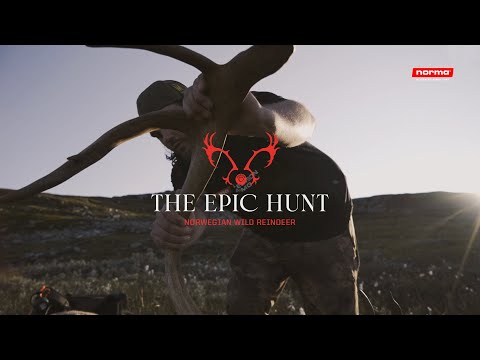 The Epic Hunt: Norwegisches Wild Rentier – Teil 3
