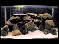 Popular Cool DIY Aquarium Decor Ideas, Video Aquarium Home Design DIY paling baru!