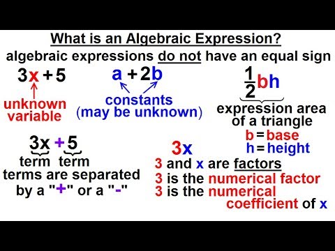 Algebra Ch 0 6 Basic Concepts 1 of 36 What are the Number Sets