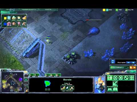 Kiwikaki(P) vs Looky(Z) Metalopolis [FR]