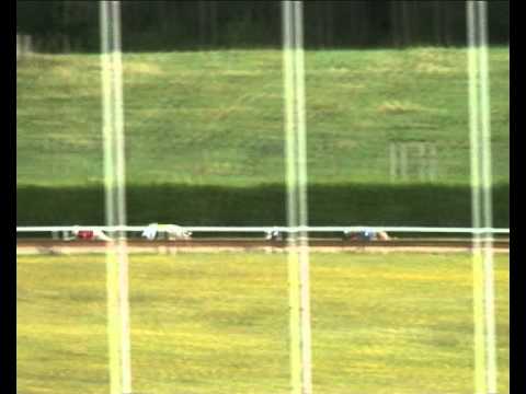 Czech Derby Consolation - 2011