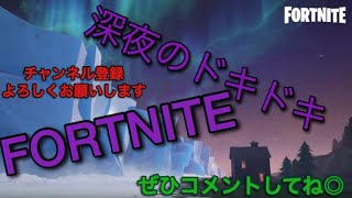 深夜のドキドキフォートナイト