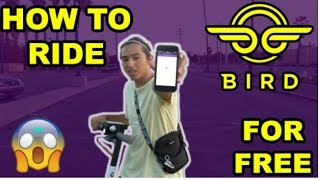 HOW TO RIDE BIRDS FOR FREE!!!