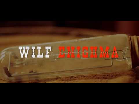 WILF ENIGHMA - QUI DÉCIDE (Clip Officiel)