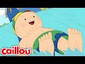 Summer BBQ Caillou S New Adventures Season 3 Episode 28