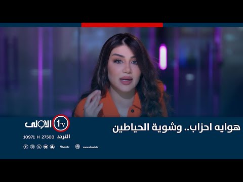 فيديو | هوايه احزاب.. وشوية الحياطين | نسخة الى مع سارا زنجيل