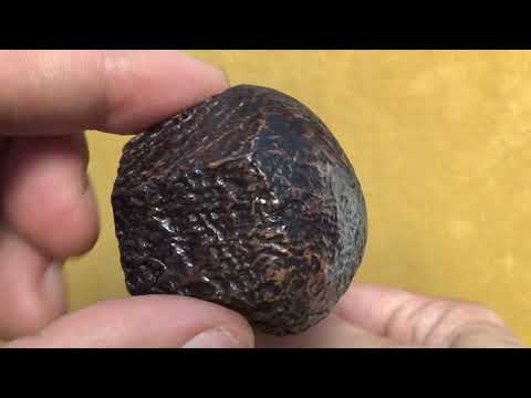 Pipa Mastro Geppetto - Sabbiata - Bent Exagonal Brandy - GP81