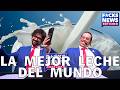 F*cksNews Nueva Zelanda: La Mejor Leche Del Mundo