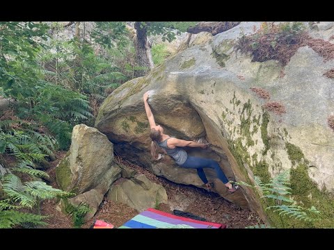 Fontainebleau Mai 2025