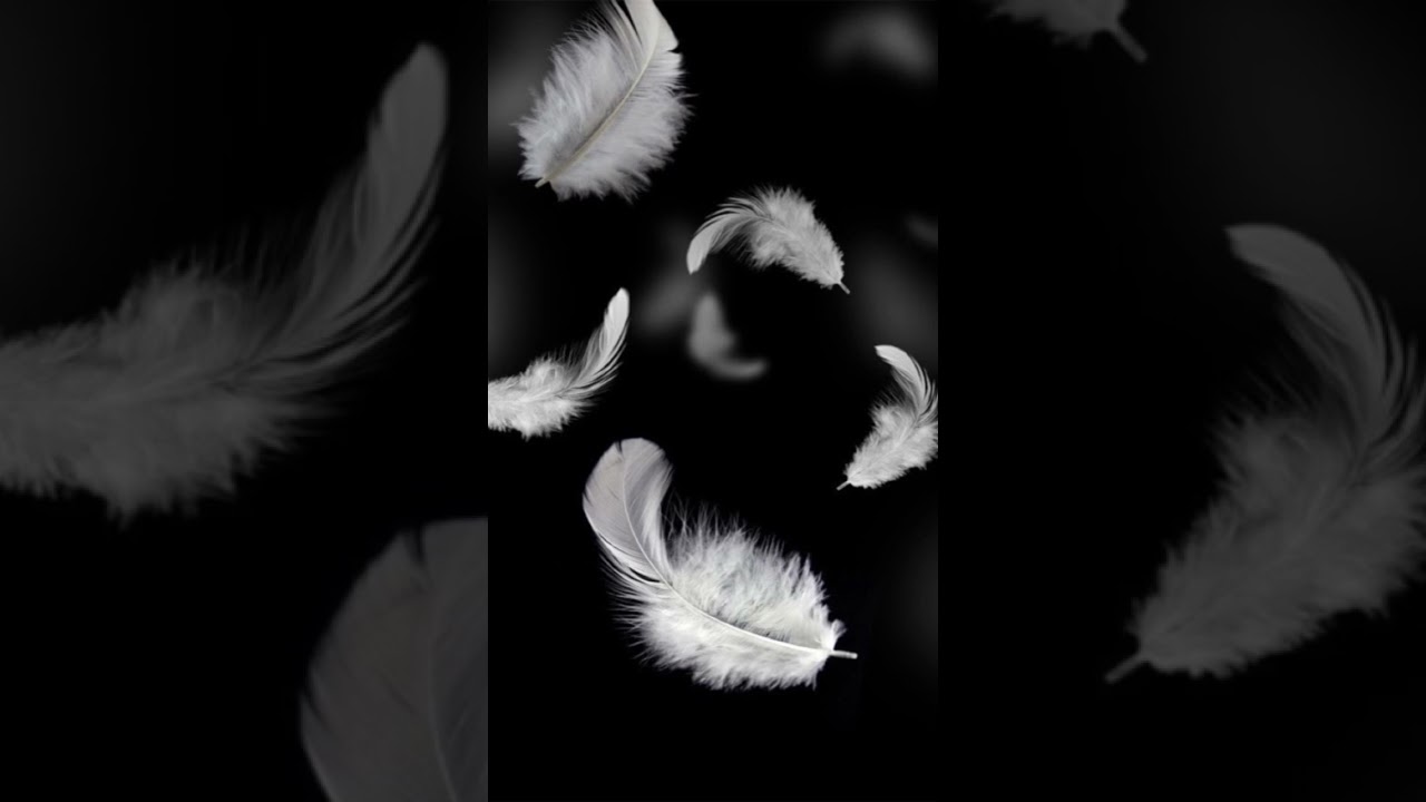 Emily Dickinson Hope #Feather, #Poem