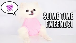 Teacup Pomeranian Makes Slime - Dog making Slime 🐶