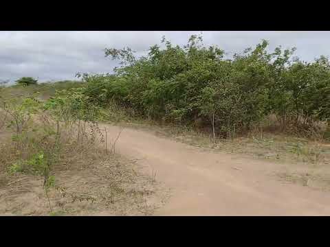 Vendo esse em araripina pe Tamanho 2 hectares valor 55 mil 8799102 3154 