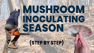Just a Guy Growing Mushrooms in the Woods