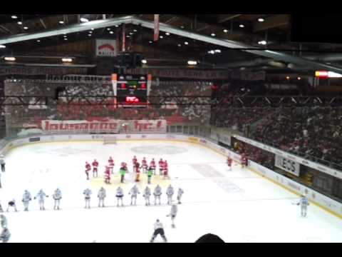 LHC-HCC (tifo)