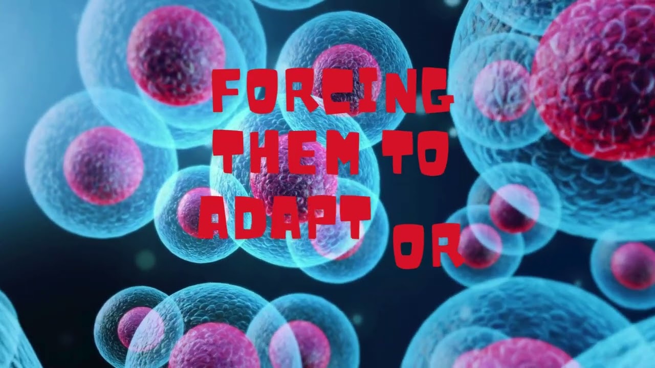 Climate Change by Cole L., Leo B., Bohdan L. and Adhyan S. (Byron Somerset Public School Grade 6)