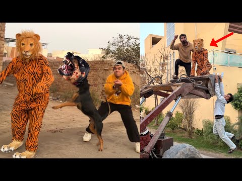 OGGY Ko Lion Ka Picha Laga Dea 😱 Ab Nhi Bacha Ga Ya 😡