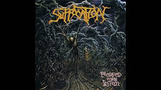Suffocation - Suspended in Tribulation (Instrumental)