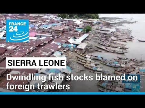 Sierra Leone locals denounce overfishing by foreign vessels • FRANCE 24 English
