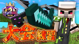 マイクラにログインできないのでマイクラします