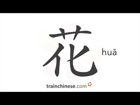 How to write 花 (huā) – flower – stroke order, radical, examples and spoken audio