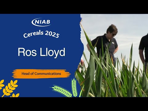 Cereals 2025: What will you find on the Niab stand this year?
