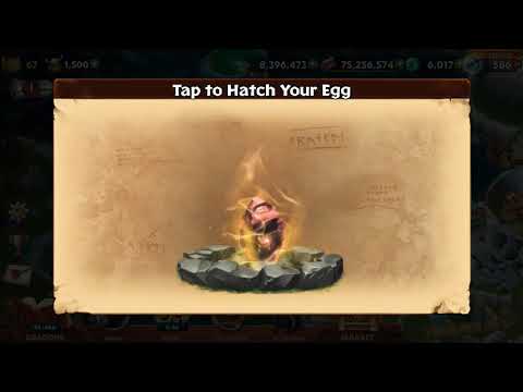 My First Premium Dragon!