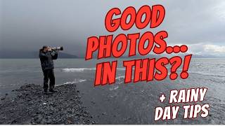 Dark, Rainy, and Foggy — My Favorite Way to Shoot Wildlife (+ Photo Tips)