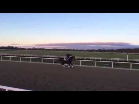 Hardest Core gallops at Fair Hill, Sunday, October 19, 2014