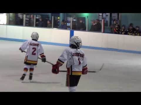 2020 0223 Avs at Caps Highlights