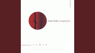 Imagination (Mental)